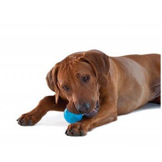 Petstages Orka Ball gumowa piłka z otworem dla psa