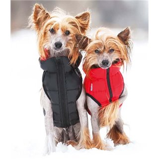 Puchowa dwustronna kurtka dla psa Airy Vest na chińskich grzywaczach