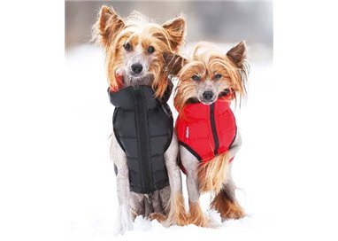 Puchowa dwustronna kurtka dla psa Airy Vest na chińskich grzywaczach