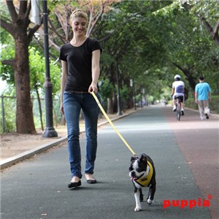 Bezuciskowe szelki dla psa PUPPIA Soft Harness żółte na psie