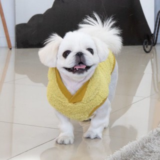 PUPPIA Przytulna ciepła bluza dla psa Willa w kolorze musztardowym