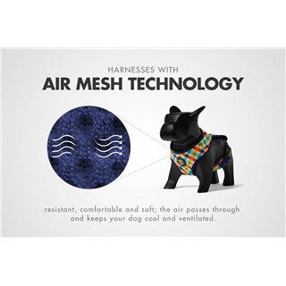 Szelki dla psa Zee Dog Phantom technologia Air Mesh