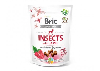 BRIT CARE Insects with Lamb Owady i Jagnięcina z malinami Przysmak dla psów