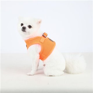 Puppia neonowe szelki kamizelka dla psa na modelu