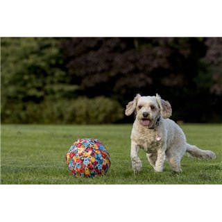 Petbloon piłka pokrowiec na balon dla psa