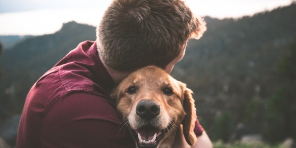 Adopcja psa ze schroniska – jak się przygotować?