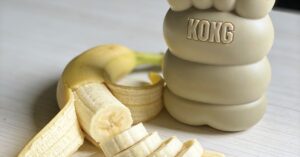 Czy pies może banana? Sprawdź, czy pies może bezpiecznie jeść banany!