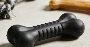 Niezniszczalna zabawka dla psa: wybierz gryzak Zogoflex lub pluszowy hit